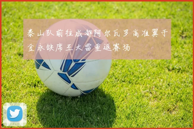 泰山队前往成都阿尔瓦罗高准翼于金永缺席王大雷重返赛场